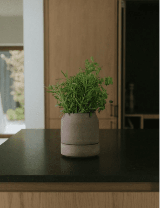 Bergs Potter - Viva RAW Grey  14 cm